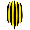 Rukh Lviv U19 logo